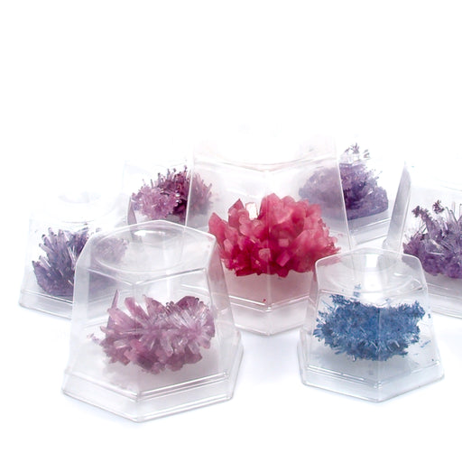 Crystal Growing - Experiment Kit - Geppetto's Workshop