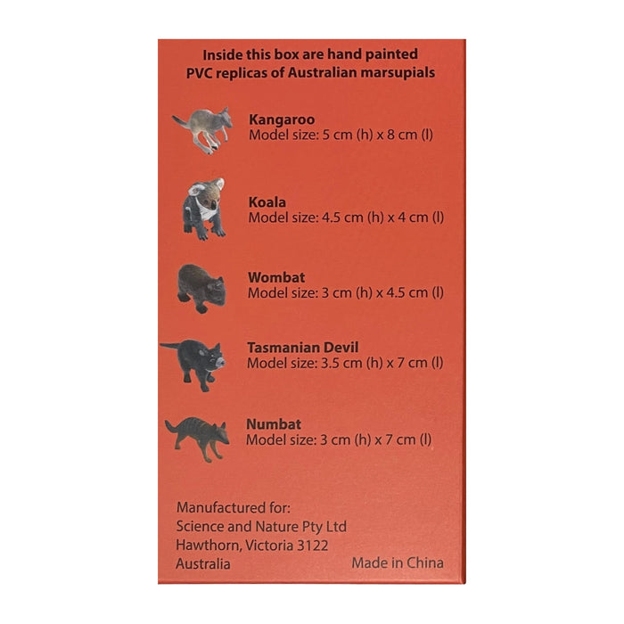 Box of Figurines - Marsupials / 5 pcs - Geppetto's Workshop