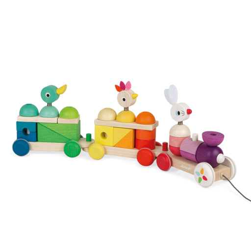 Giant Multicolour Wooden Train