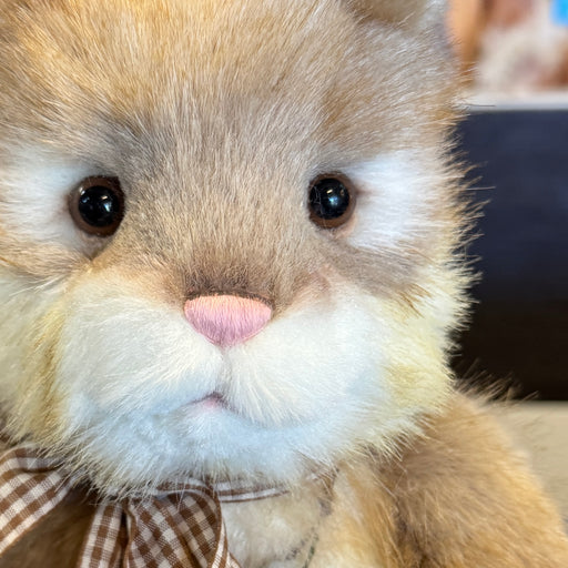 Scallopini - Geppetto's Workshop