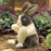 folkmanis baby dutch rabbit puppet lifestyle