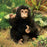 folkmanis baby chimpanzee puppet lifestyle