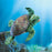 folkmanis sea turtle puppet lifestyle