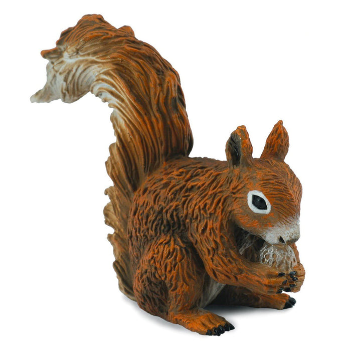 Red Squirrel - Eating (S) (GR) - Geppetto's Workshop