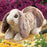 folkmanis baby lop rabbit puppet lifestyle