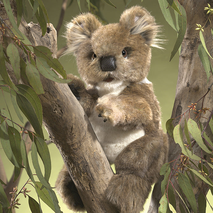 folkmanis koala puppet lifestyle