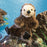 folkmanis sea otter puppet lifestyle