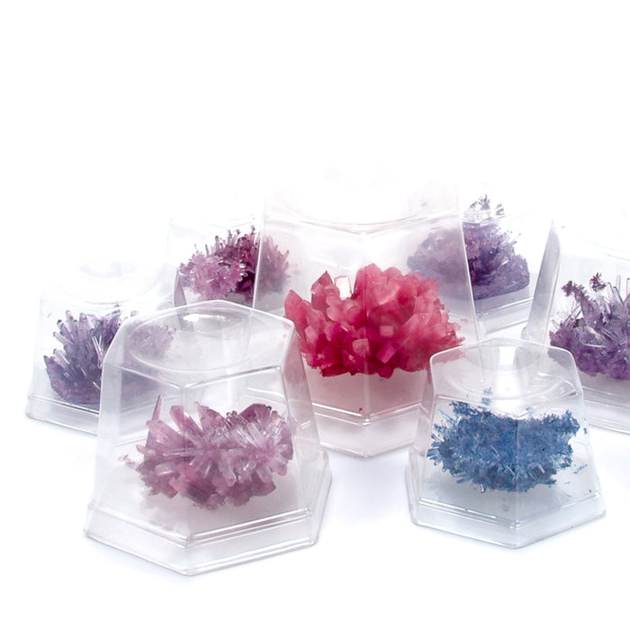 Crystal Growing - Experiment Kit - Geppetto's Workshop