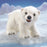 folkmanis polar bear cub puppet lifestyle
