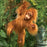 folkmanis baby orangutan puppet lifestyle