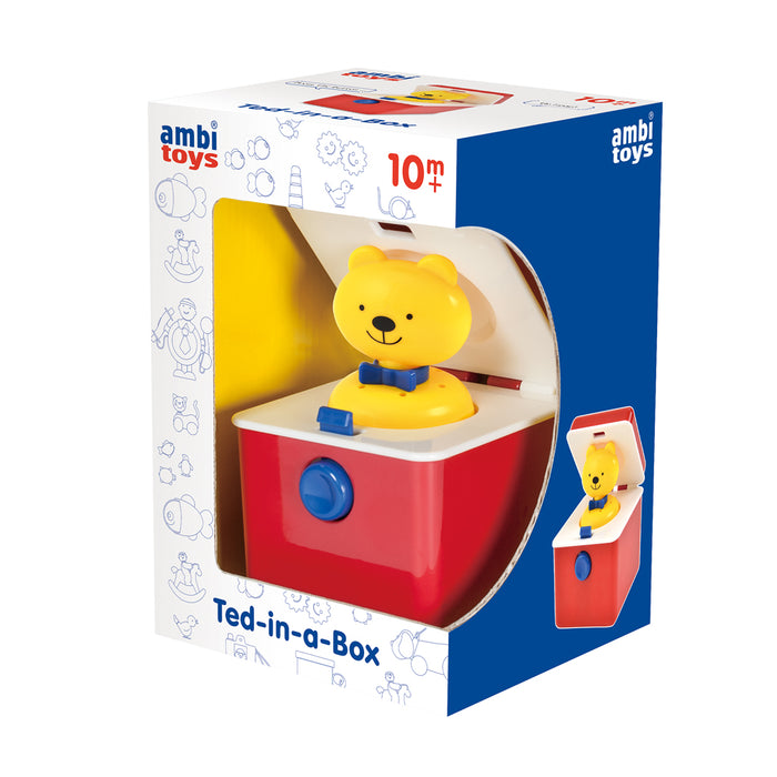 ambi ted in box packaging