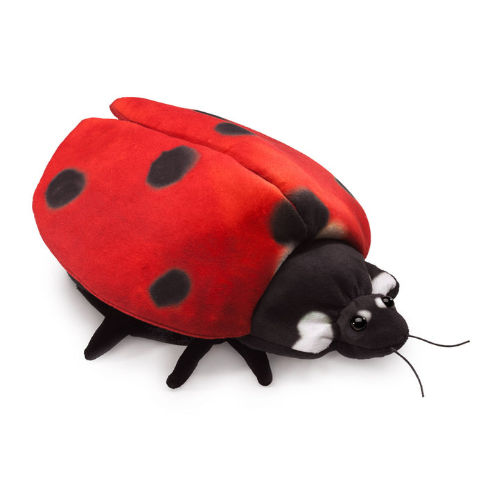 Ladybug Lifecycle Reversible Puppet - Geppetto's Workshop