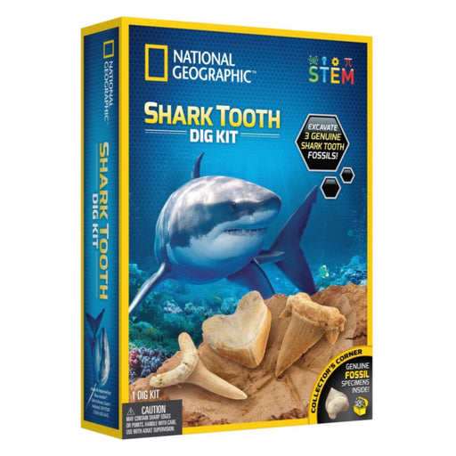 Shark Tooth Dig Kit - Geppetto's Workshop