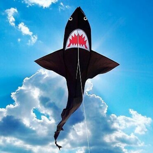 brookite shark 3d kite lifestyle